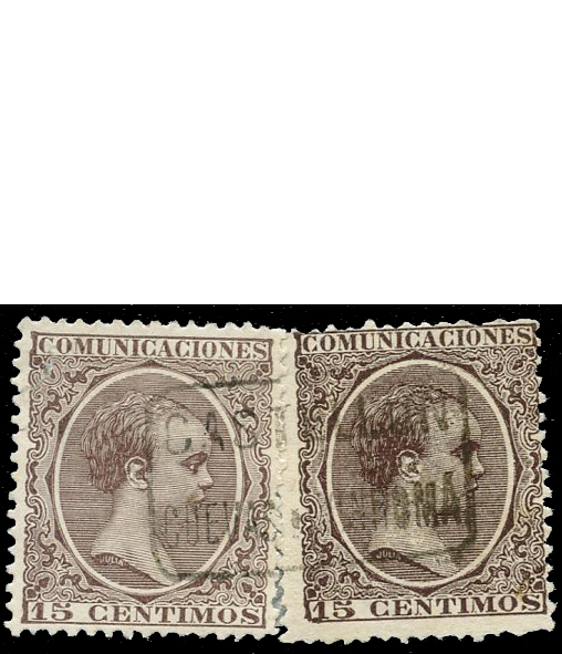 C2313