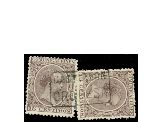 C2339